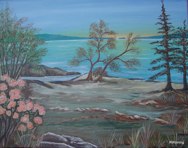 The View from Ole's Cove